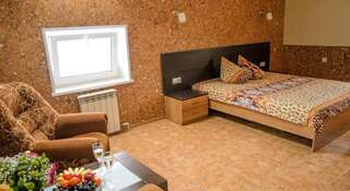 Гостиница Erunin Hotels Group Новосибирск Двухместный номер с 1 кроватью для некурящих-5